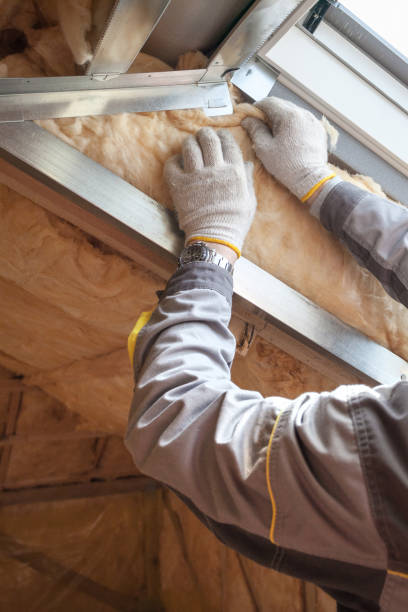 Best Commercial Insulation in Bottineau, ND